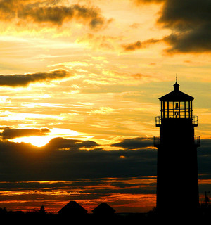 cape cod
