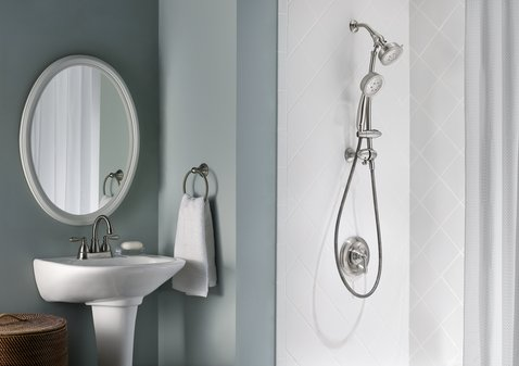 Moen Hand Held