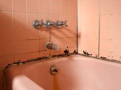 Surface Mold In Bathroom dream bath blog | mold prevention Surface Mold In Bathroom dream bath blog | mold prevention